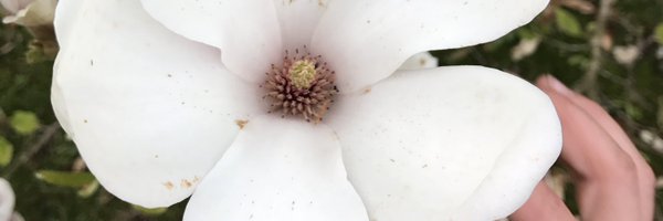 BuckleyKelly22 Profile Banner