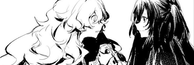 Stella banner