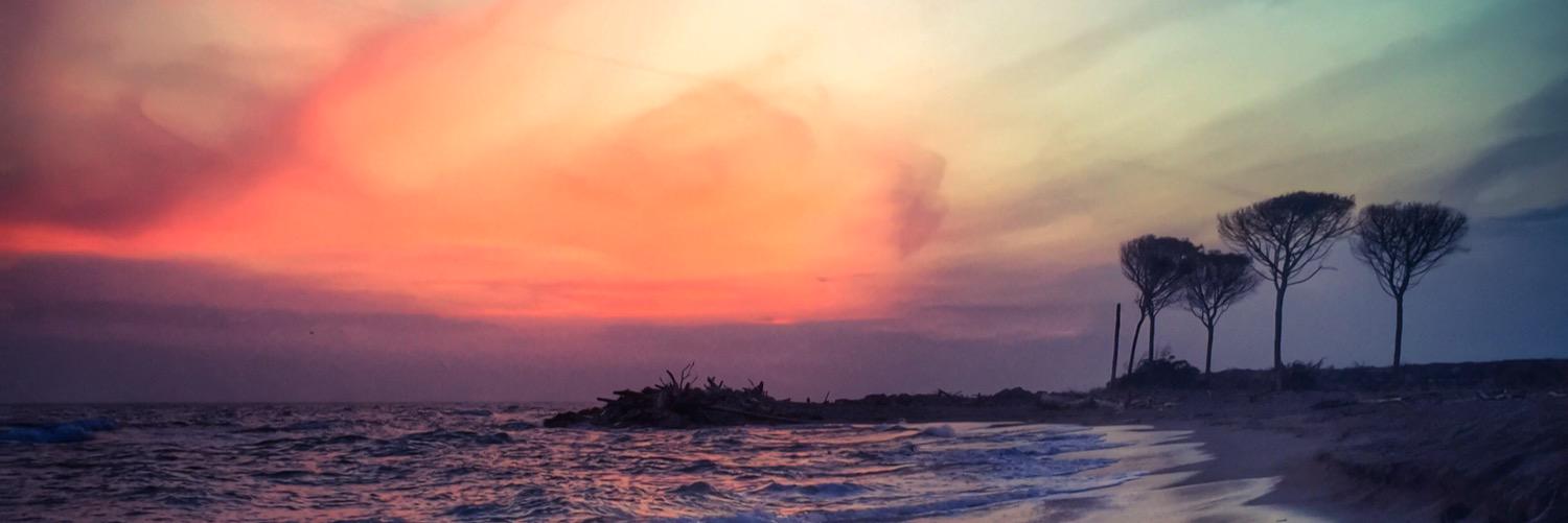 piccinaccia's profile banner image