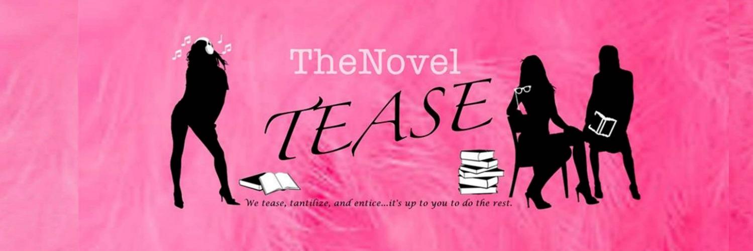 TheNovelTease's profile banner image