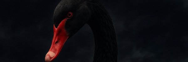 Bigtruthnetwork Profile Banner