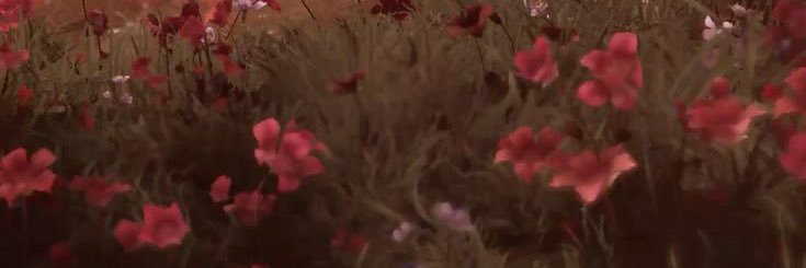 exoxohan_'s profile banner image