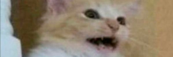 nitej6's profile banner image