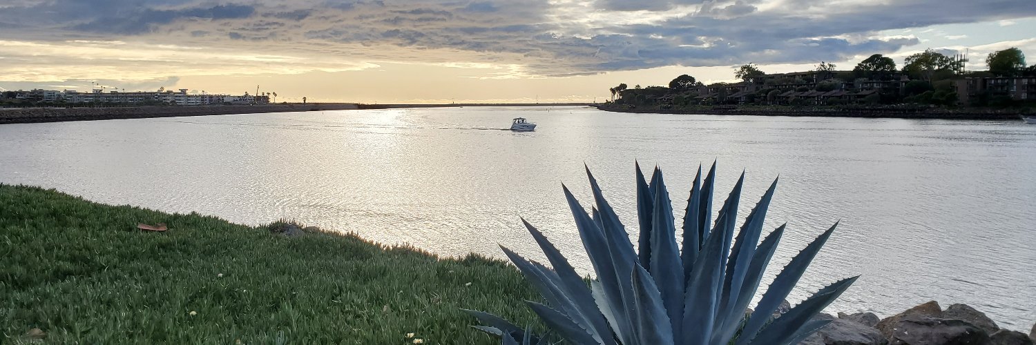 Patrik Svensson banner