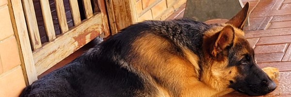 NandoTeixeiraV9 Profile Banner