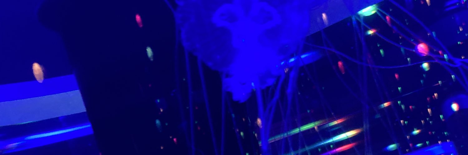 ᓚᘏᗢ banner