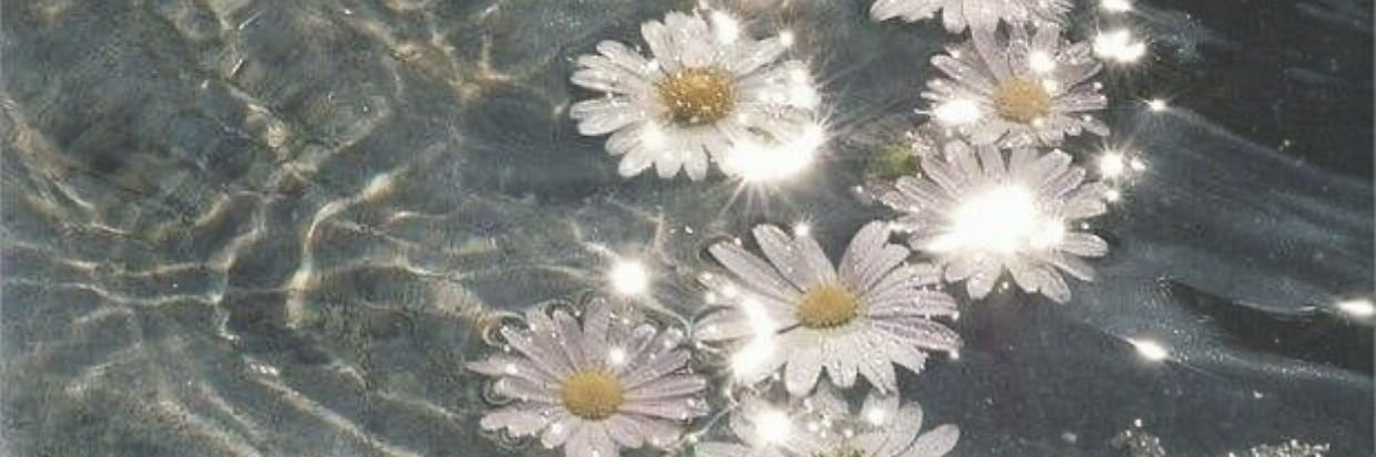daisiechainsss's profile banner image