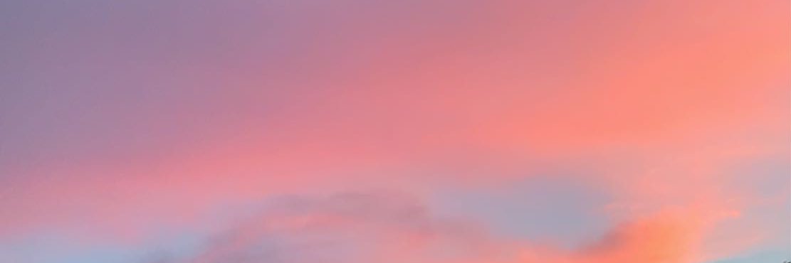 Brooke Wallace banner