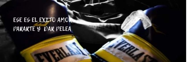 CalicchioCelest's profile banner image