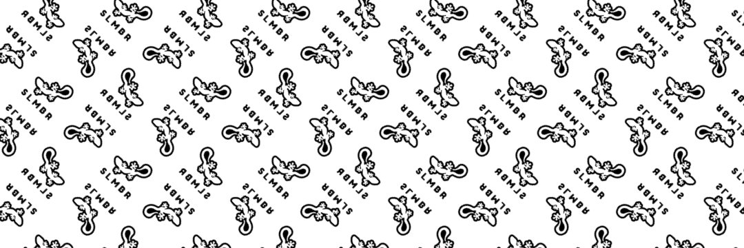 SLMBR banner