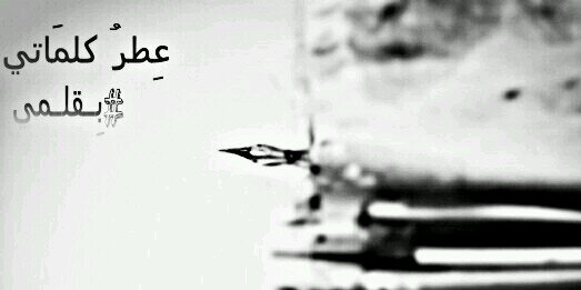 3tr_rose's profile banner image
