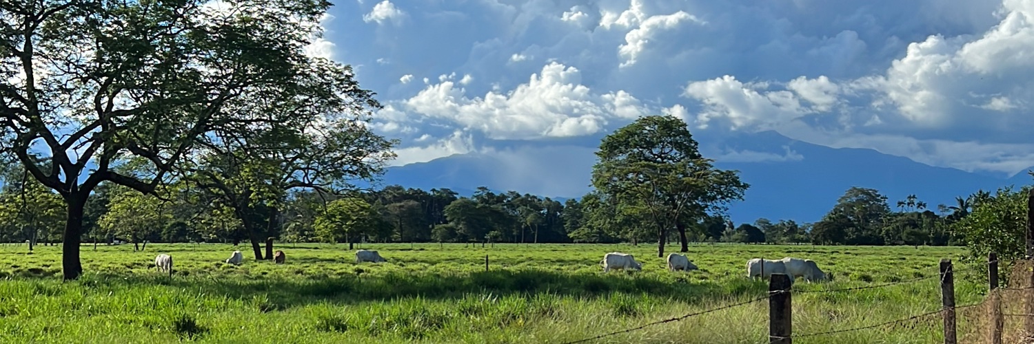 jdmd14's profile banner image
