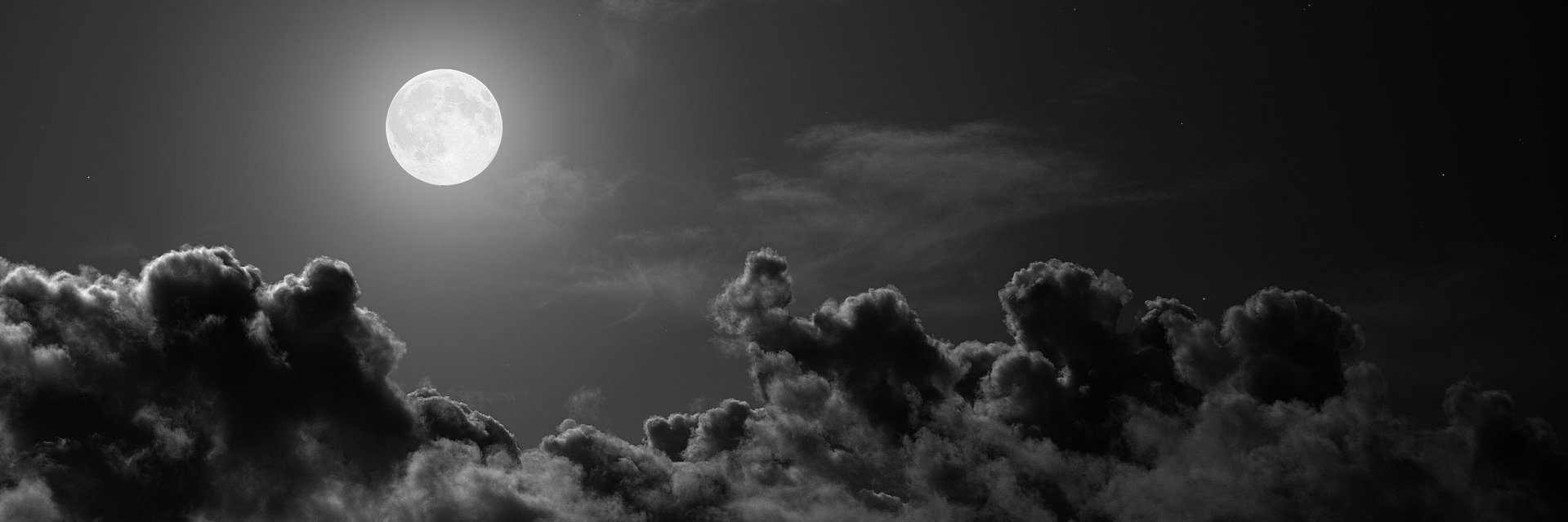dearlestelle's profile banner image