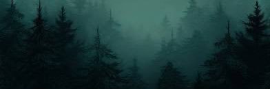 ᏉᏋᏋ(3/4 COMMS) banner