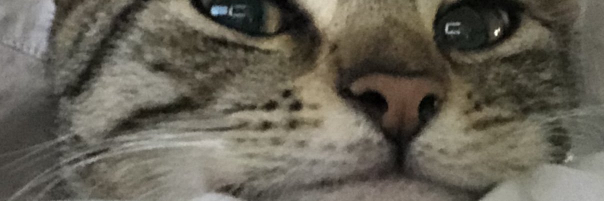 a_brink64's profile banner image