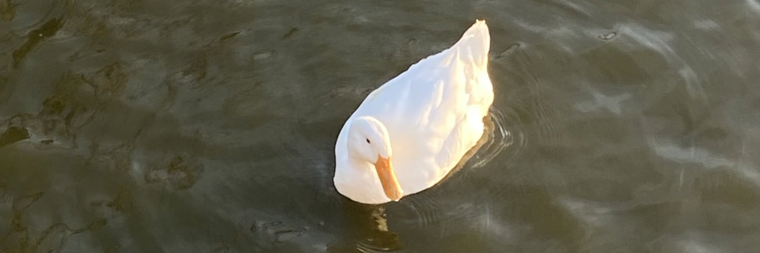 hiddenflan's profile banner image