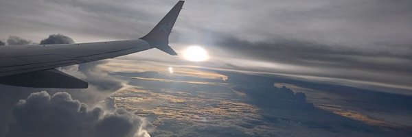 flyingbird308 Profile Banner