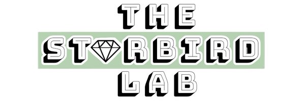 StarbirdLab Profile Banner