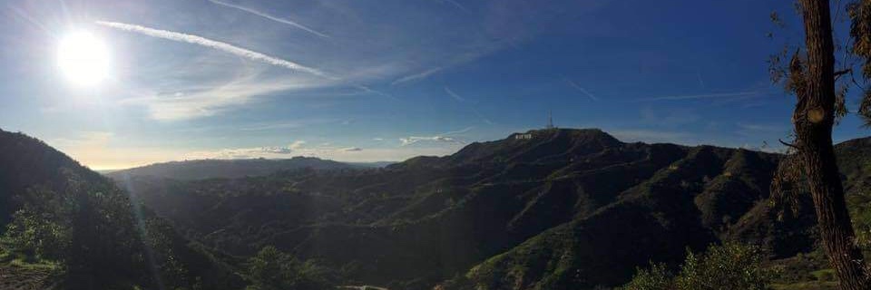 MJL2001's profile banner image