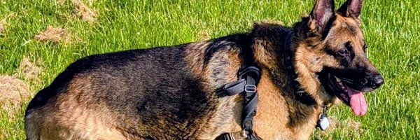 syl_sylv7966337 Profile Banner