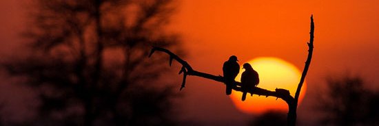 houda_meme's profile banner image