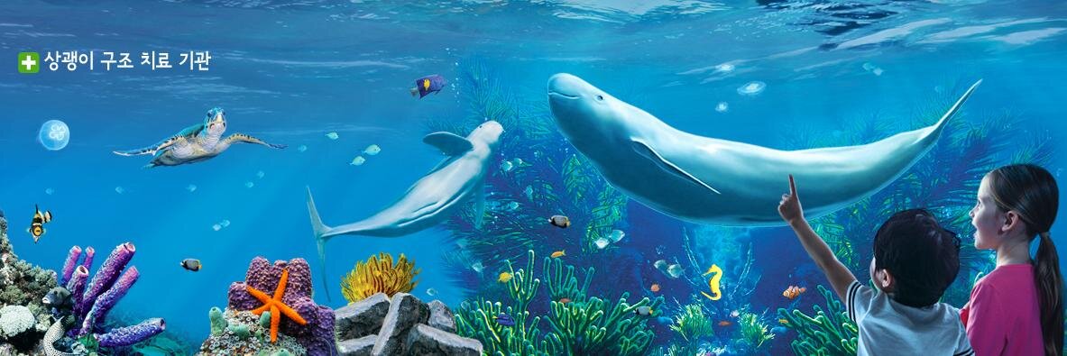 SEALIFEBusan's profile banner image