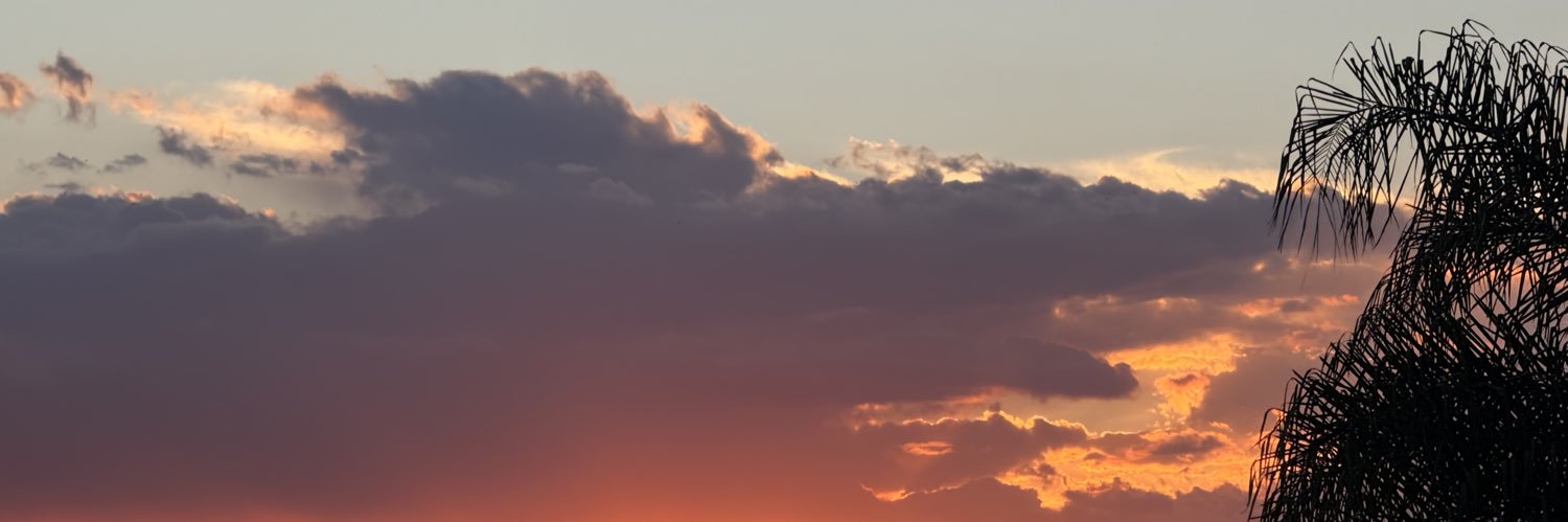 marrxdz's profile banner image