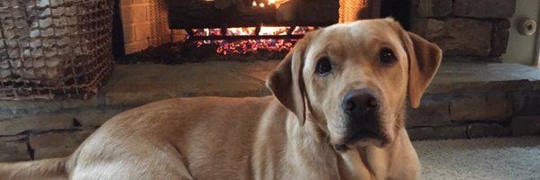 wjburnett Profile Banner