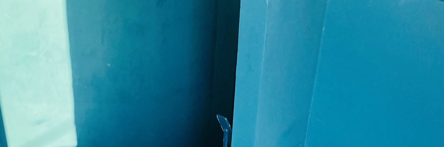 Elaine Steele banner