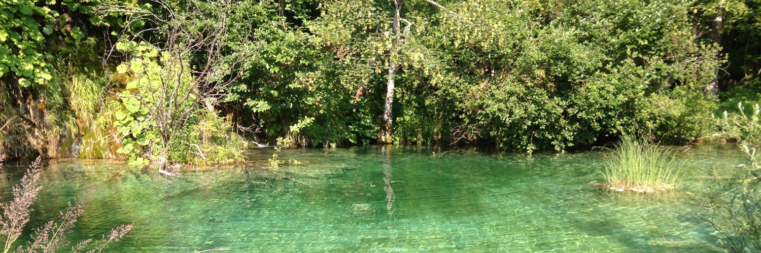 Géraud Guibert banner