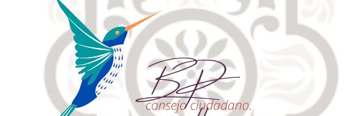 Consejo De búsqueda De Personas De Puebla banner