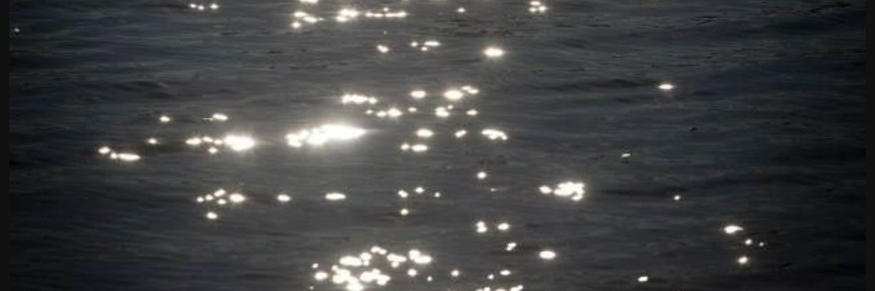 R____r21's profile banner image