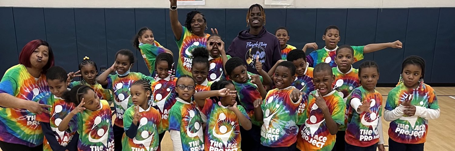 The ACE Project banner