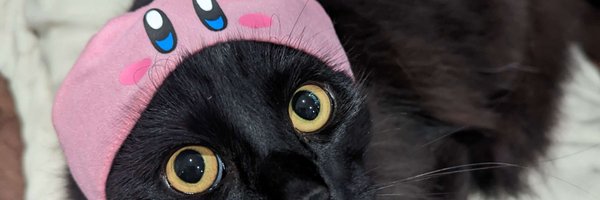 pigthy Profile Banner