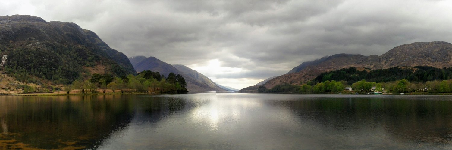 Scott banner