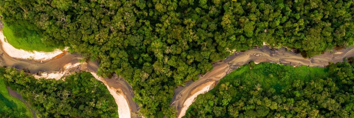 Alejandro Schiuma banner