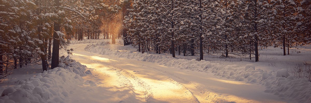junioorhalley's profile banner image
