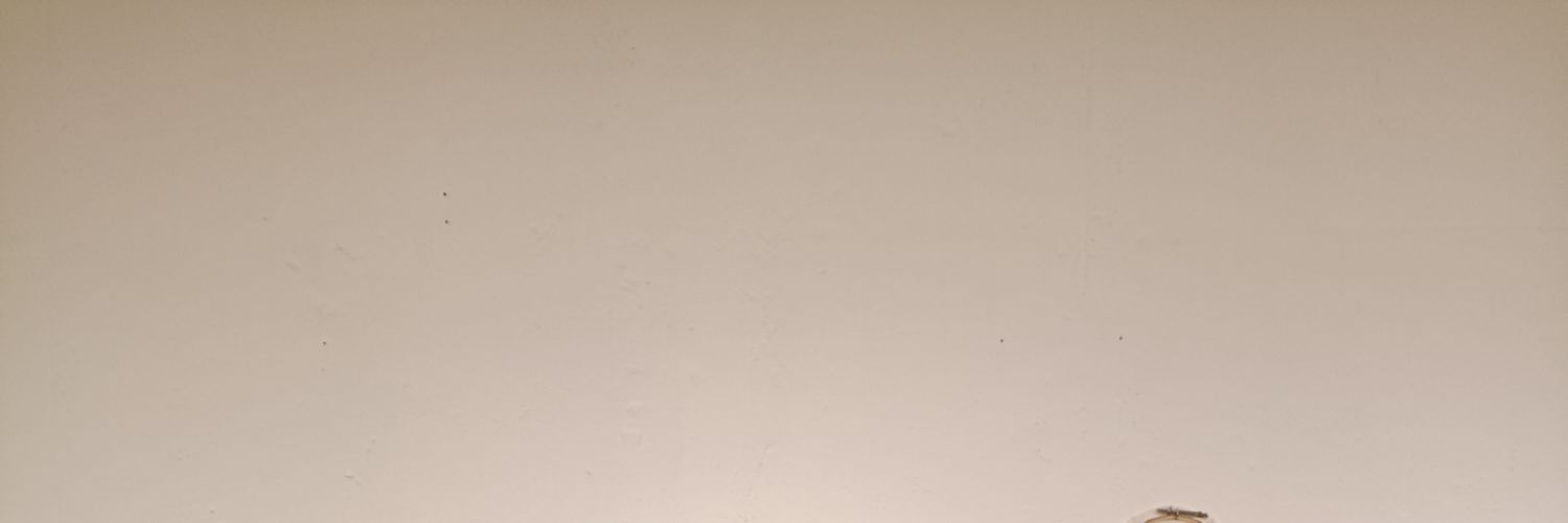 cicintani's profile banner image