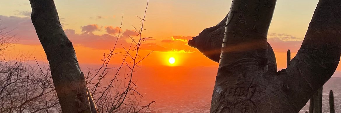 𝑳𝒂𝒍𝒊𝒕𝒂 banner