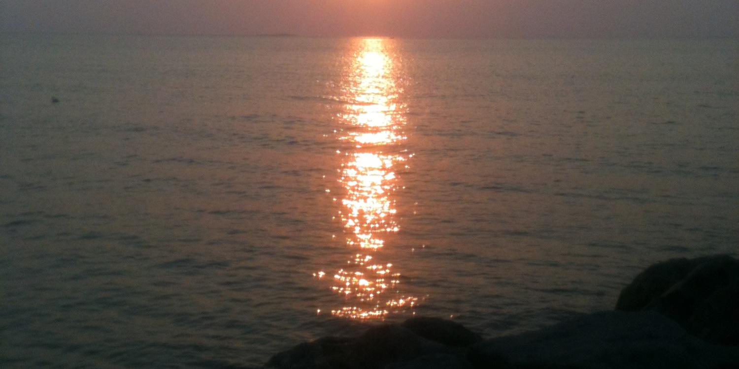 dark_san77's profile banner image