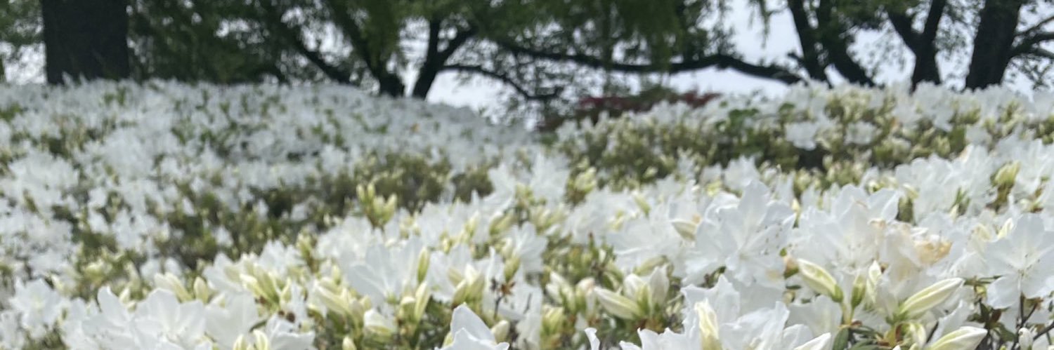 yukarome's profile banner image