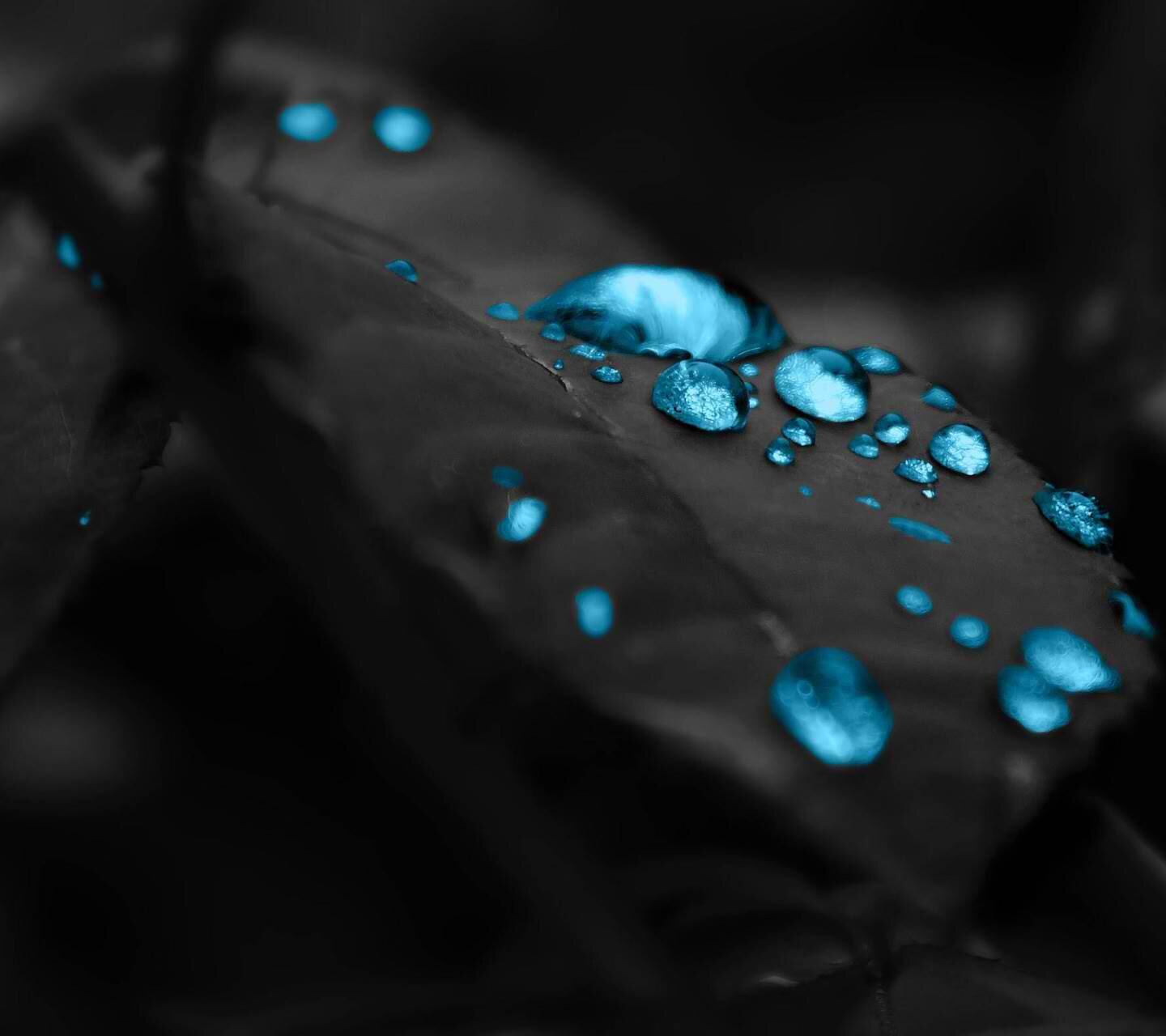 oeneo06's profile banner image
