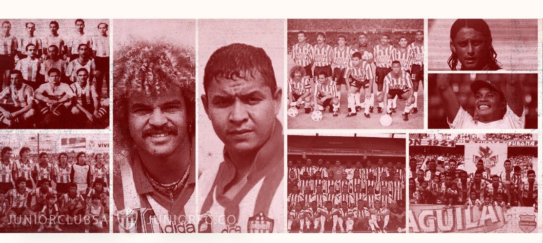 Nilson bula gentil banner