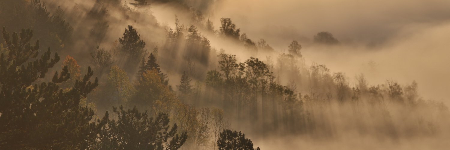 Conrad Philipp banner