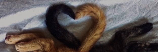jseobyunz's profile banner image