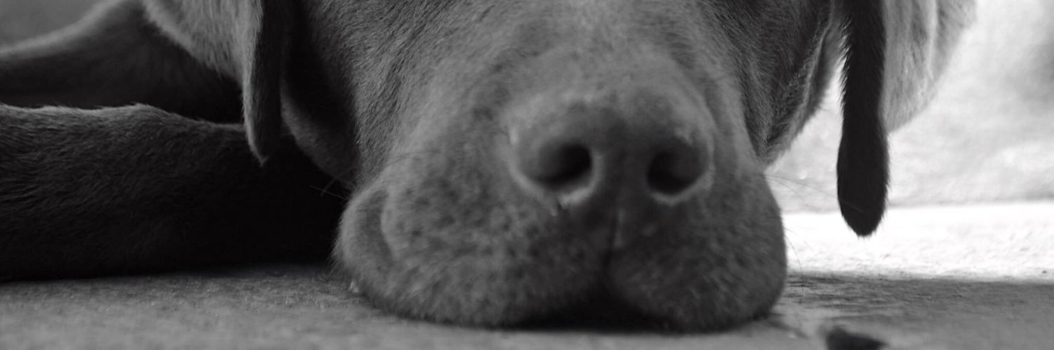 claub__'s profile banner image