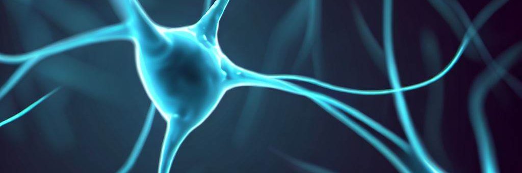 Decision Neuroscience and Neuroeconomics Papers's banner
