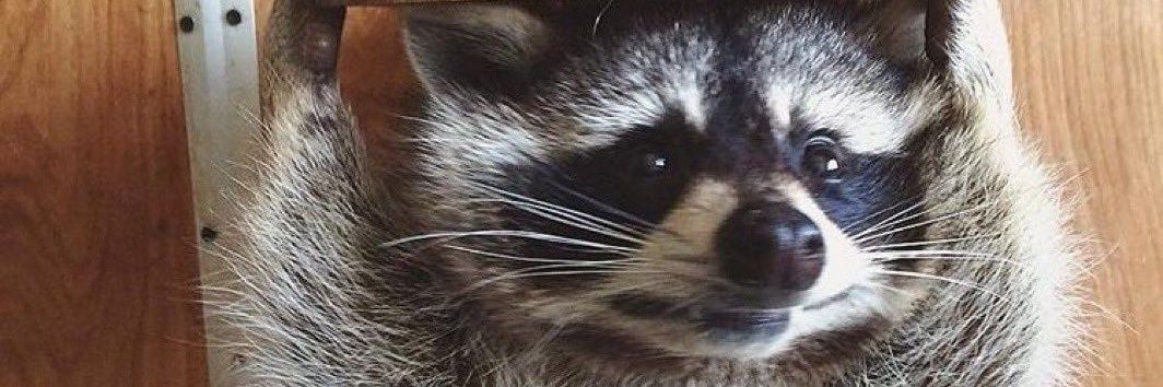 ManoloSky77's profile banner image