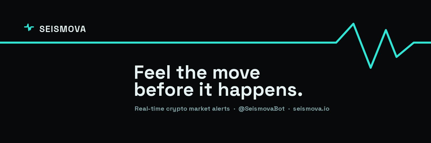 Seismova's profile banner image