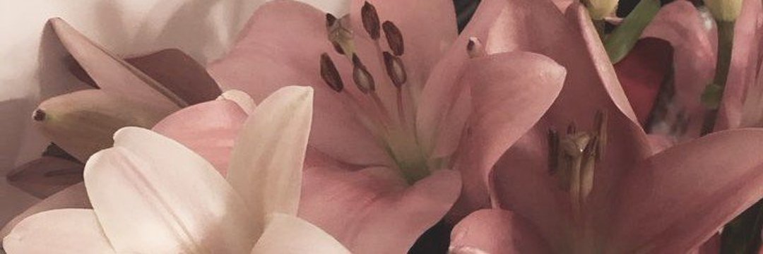Giselle. banner